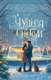 Чудеса под снегом. Рассказы о любви и волшебстве в большом городе - Шаталова Валерия